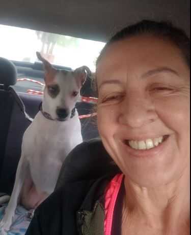 Taxi-Dog Landing Hero Top Image